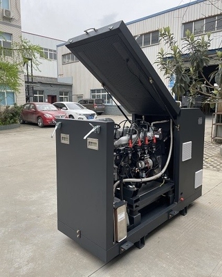 Harga bagus High Efficiency CE Approved Micro Biogas CHP Mini Cogenerator Set Unit System 16kw 20kva on line