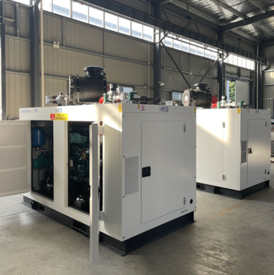 Harga bagus 200KW 250KVA 50Hz Gas Alam Cogen Efisiensi Umum Tinggi Dengan Kontrol Otomatis on line