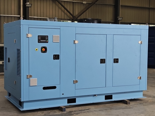 Harga bagus Premium Efisiensi Tinggi Kebisingan Rendah 160kW 200KVA 200KW 250KVA Gas Alam CHP Generator on line